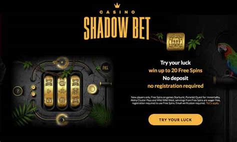 Shadowbet Casino Bonus: Claim 20 No Deposit No Wager Spins!